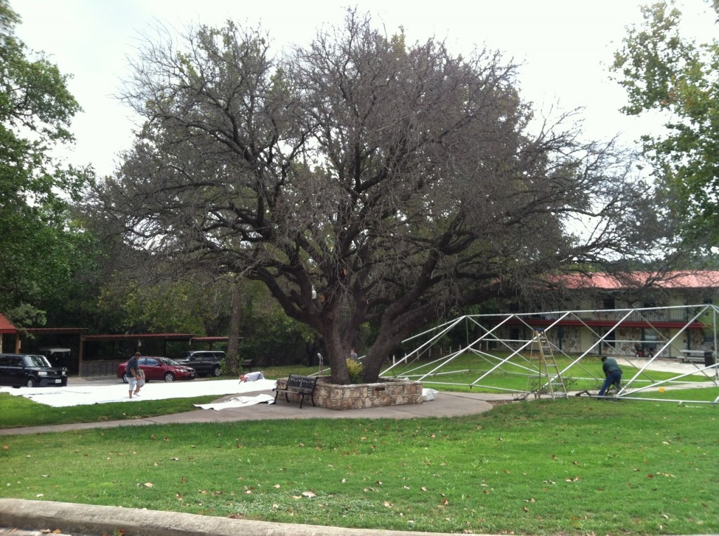 2012 Alumni Reunion Preperations