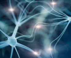 La Hacienda Treatment Center The Definition of Addiction and it's Effect on the Brain