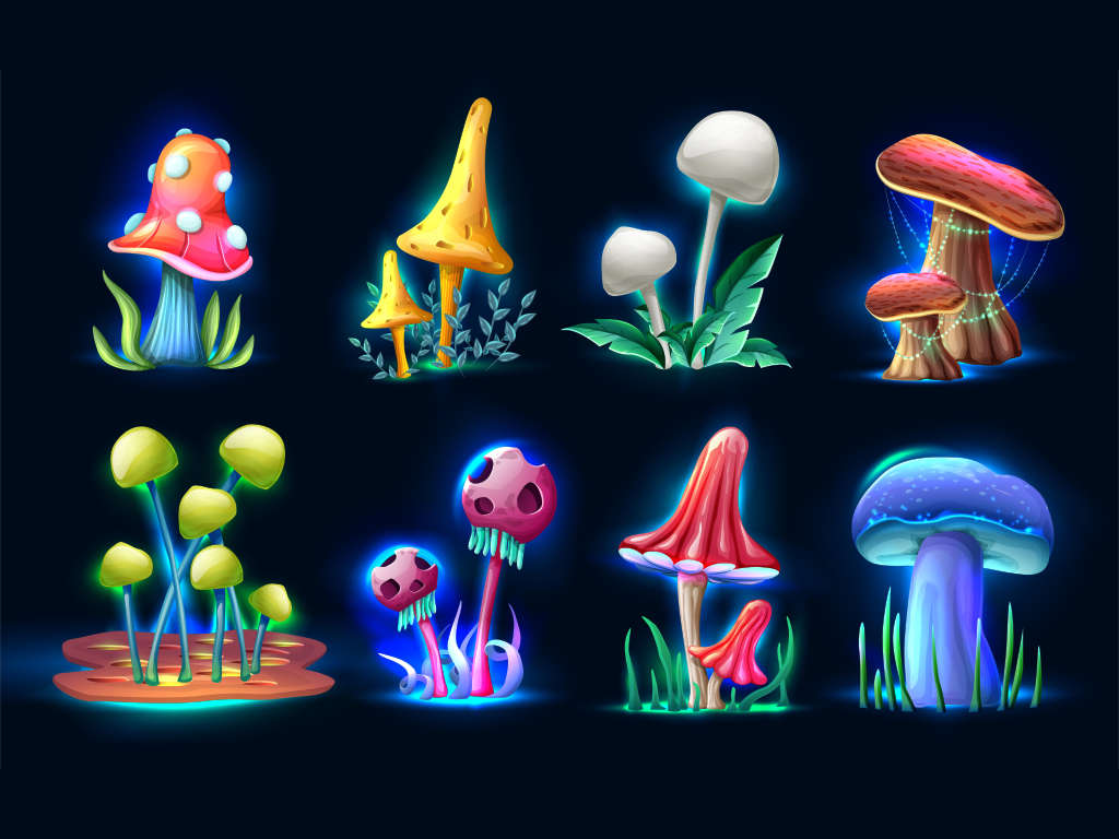 Psilocybin or Magic Mushrooms | La Hacienda