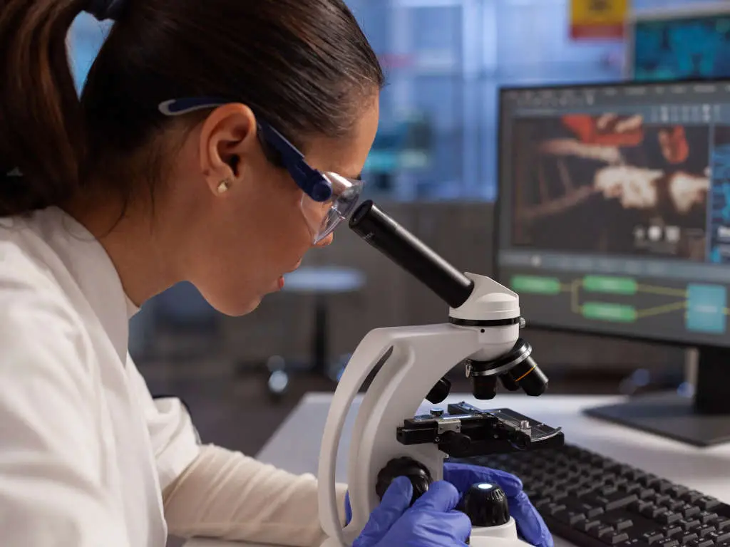 DMT Chemical Diagram | La Hacienda