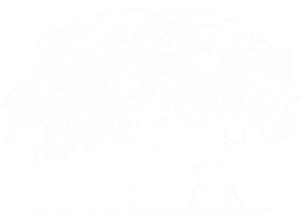 Logo | La Hacienda Treatment Center