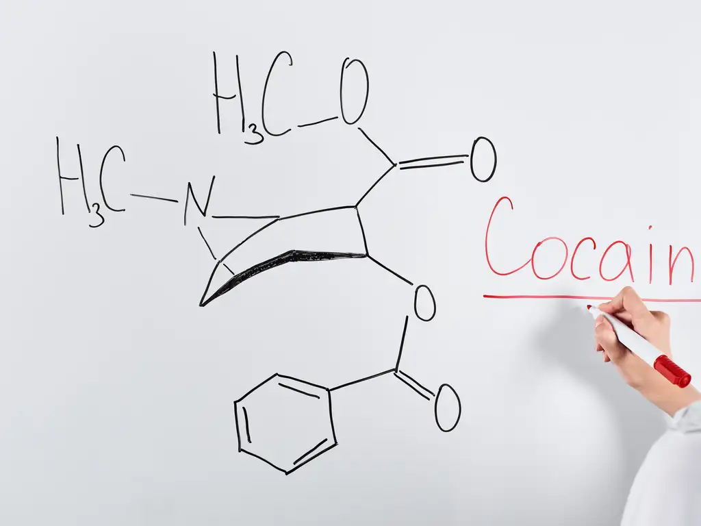 Is Cocaine a Stimulant or Depressant? | La Hacienda