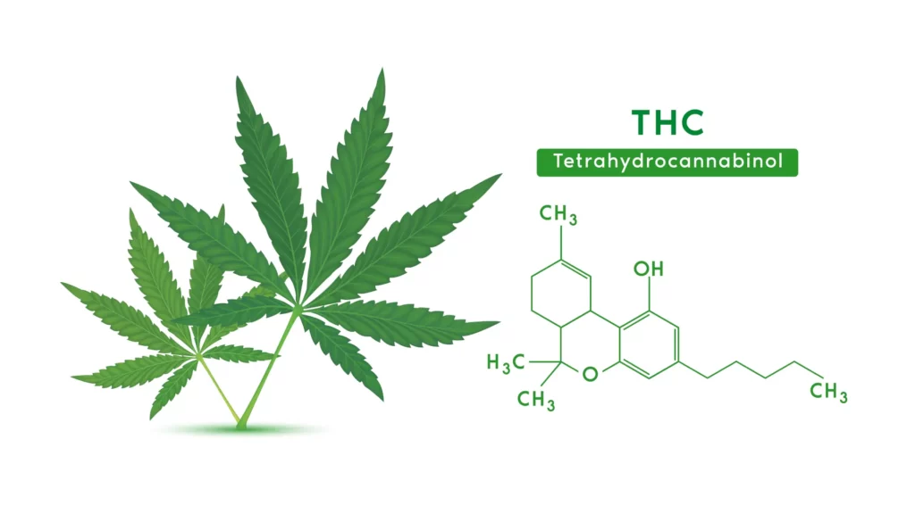 Tetrahydrocannabinol THC | La Hacienda