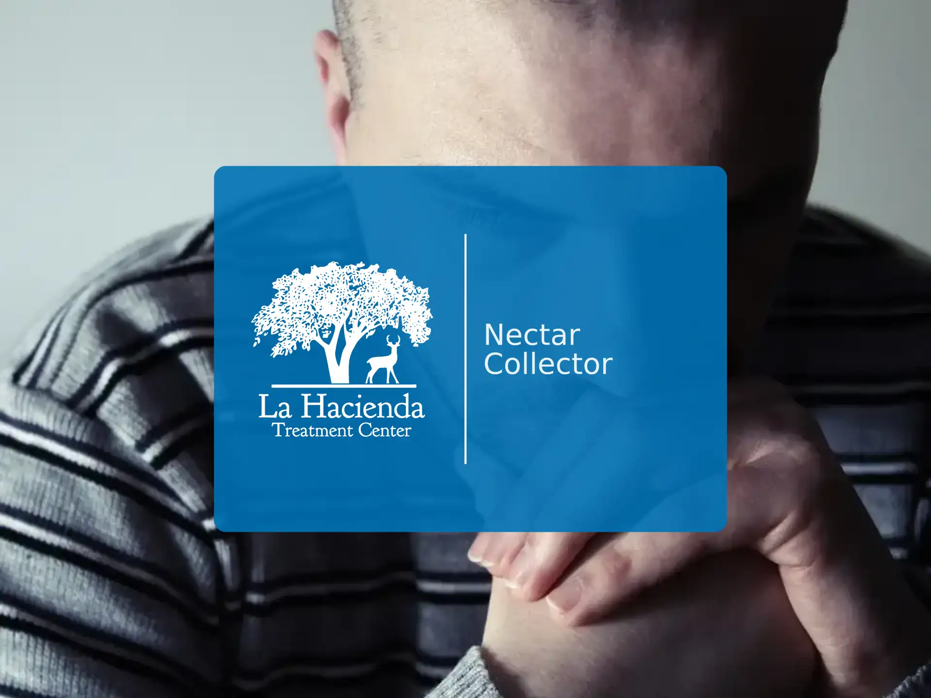 Nectar Collector | La Hacienda Treatment Center