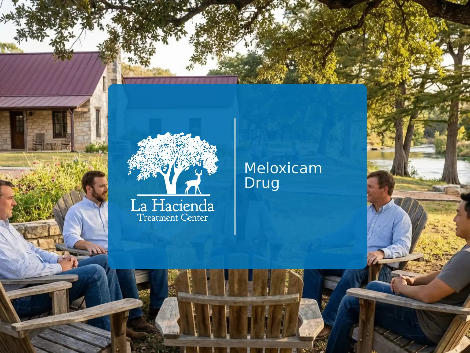 Meloxicam Drug | La Hacienda Treatment Center